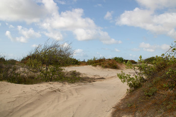 Leading to the sea