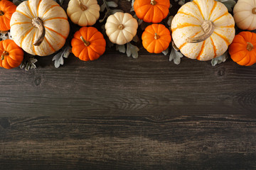 Fall top border of colorful pumpkins and silver leaves against a dark wood background with copy space