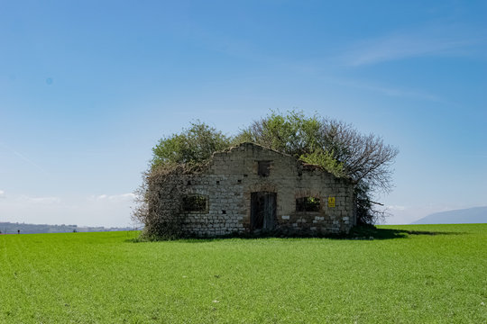 Mysterious abandoned isolated House on the green grass - Surreal