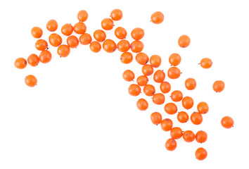 Sea buckthorn berries isolated on a white background, top view.