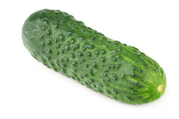 one fresh cucumber isolated on white background