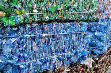 Green plastic PET bottles pressed in bales for recycling