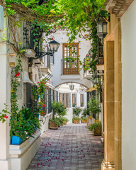 Fototapety  Malownicza i wąska uliczka na starym mieście w Marbelli, prowincja Malaga, Andaluzja, Hiszpania.