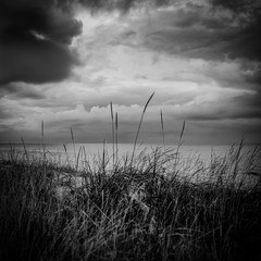 Obraz premium Straws with the ocean and dramatic clouds as backdrop.