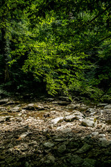 Fototapeta na wymiar Small River and Rocks. Beautiful mountain rainforest waterfall with fast flowing water and rocks
