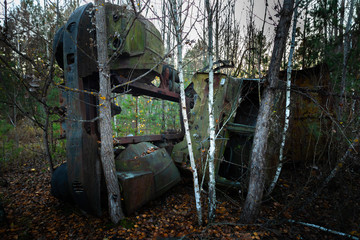 Fallen tree on abandoned truck left outside