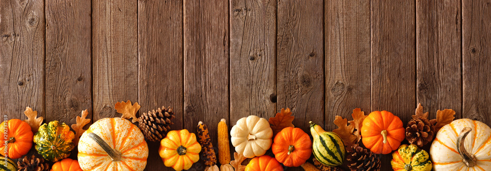 Poster autumn bottom border banner of pumpkins, gourds and fall decor on a rustic wood background with copy