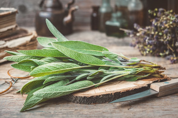 Fresh sage, medicinal herbs, books, tea kettle and glass bottles of essential oil and tincture on...