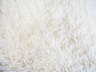 close up shot of sheep fur skin
