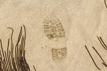 Imprint of the shoe on mud with copy space, Footprint in the dirt, Foot step on sand, background...