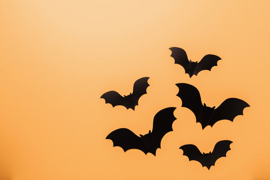 Halloween decorations concept. Black paper bats on orange background. Top view Copy space - Image
