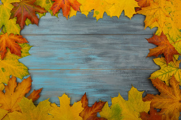 Naklejka na ściany i meble Autumn leaves on a blue wooden background