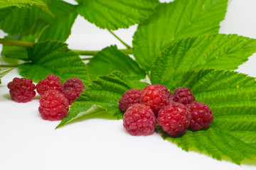Red raspberry with leaves on white background. 