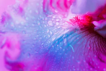 Tuinposter Vivid neon colored iris flower bud on multi colored background. © Margo Basarab