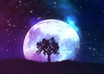 Papier Peint photo Pleine Lune arbre Arbre solitaire au-dessus de la planète et du ciel étoilé