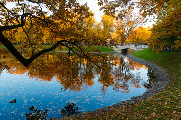 Fototapeta na wymiar Golden autumn panorama of the pond and the bridge in the Mikhailovsky garden in SPb
