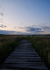 Fototapeta na wymiar Wooden platform on the shore of the lake. Landscape With An Old Wooden Platform With A View Of The Reeds 
