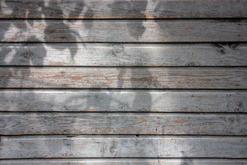 The shadow of the leaves of the tree on the plank wall. The horizontal old wall boards are painted gray. Peeling paint on the wall of the house.