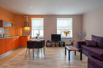 Modern interior of spacious light studio apartment. Kitchen set.