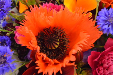 Market Flowers