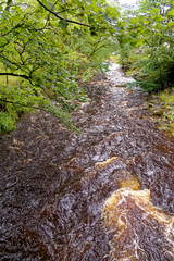 Rural countryside view in Northumberland - North East England
