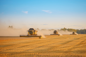 combine harvester working on a wheat field