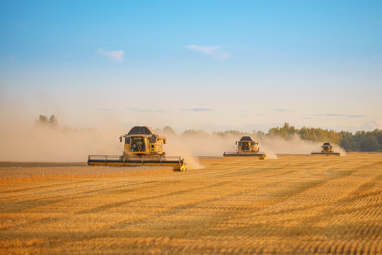 combine harvester working on a wheat field
