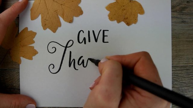 GIVE THANKS live brush calligraphy with fallen leaves on wooden background