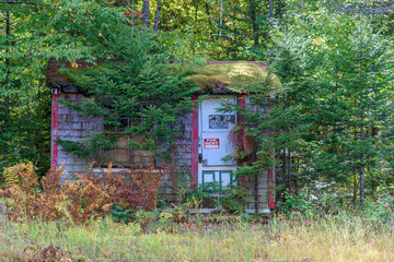 Old Dilapidated Overgrown Wooden Countryside Cabin in the State of Maine with a For Rent Sign on the Door