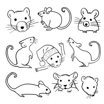 Rat logo graffiti hand drawn icon. The Year of the Mouse or Rat. Vector set outline hand drawn brush illustration with different animal characters in various poses. Black on white background