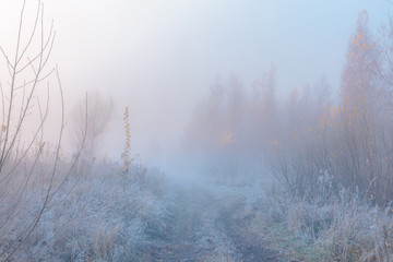 Beautiful autumn misty sunrise landscape. November foggy morning and hoary frost at scenic rural road at high grass copse.