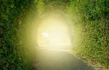 green tunnel of trees with light at the end