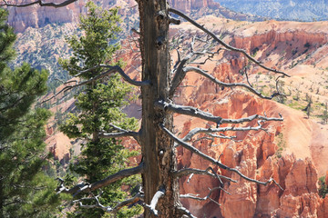Bryce-Canyon-Nationalpark