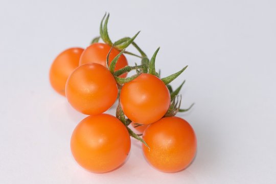 Orange Cherry Tomatoes Isolated