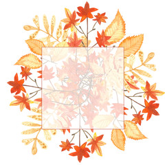 Watercolor hand painted nature autumn squared composition with orange maple branches, yellow leaves and branches with translucent square in the middle with the space for text on the white background