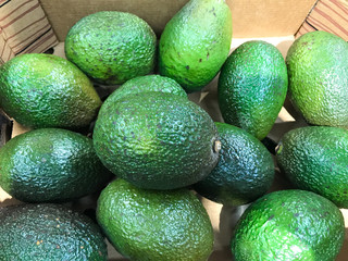 Close-Up Of Fresh Green Avocado