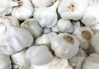 Garlic Is A Species In The Onion Genus, Allium. Its Close Relatives Include The Onion, Shallot, Leek, Chive, And Chinese Onion.