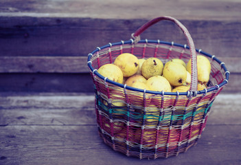 a basket of garden pears is in the garden.