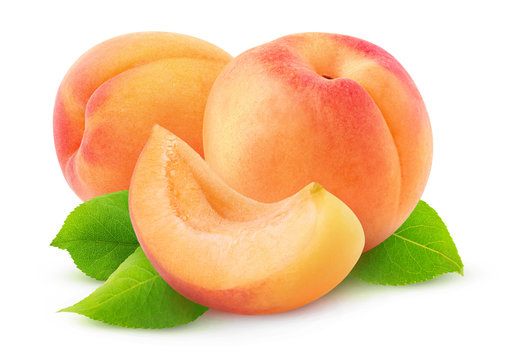 Isolated apricots. Two whole apricot fruits and a slice isolated on white background with clipping path