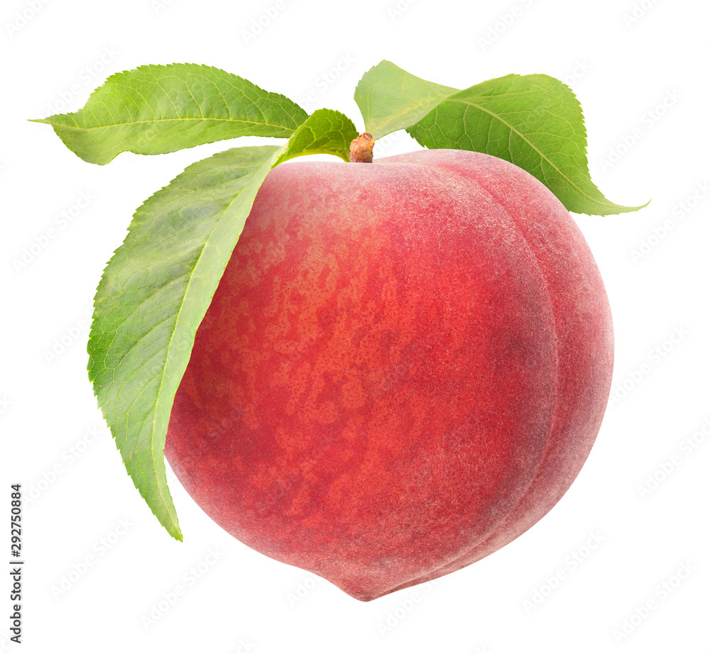 Aufkleber isolated peach. one raw pink peach hanging on a stem with leaves isolated on white background with c