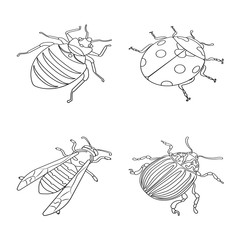 Isolated object of fauna and entomology logo. Collection of fauna and animal stock symbol for web.