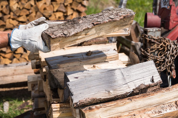 Brennholz wird eingelagert - Scheitholz