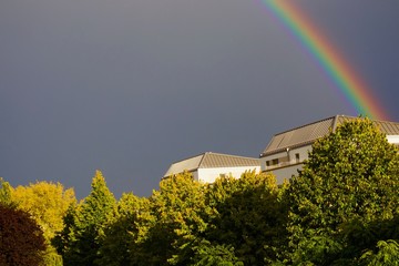 under the rainbow