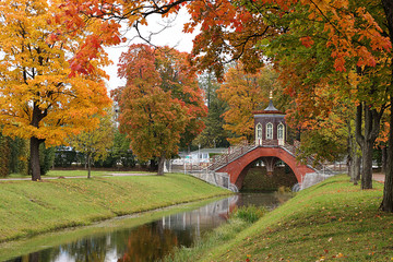 Russia, St. Petersburg, September 28, 2019, Alexander Park. In the photo - an autumn pond with...