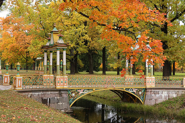 Russia, St. Petersburg, September 28, 2019, Alexander Park. In the photo - an autumn pond with...