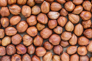 Unshelled hazelnuts background on gray wooden background