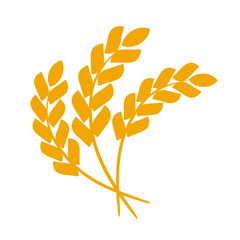 Wheat or barley ears. Harvest wheat grain, growth rice stalk and whole bread grains or field cereal nutritious rye grained agriculture products ear symbol. Isolated vector icon