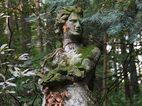 Einsamer Mann im Wald