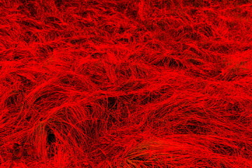 Red grassy blurry abstract image as background