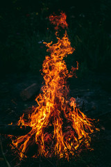 fire in nature . bokeh from the fire . blurred backgrounds . Space views.